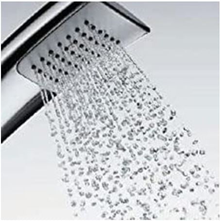 Sen tắm Toto TMN40TEC